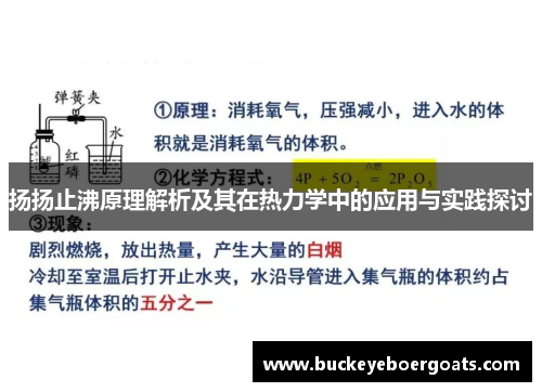 扬扬止沸原理解析及其在热力学中的应用与实践探讨